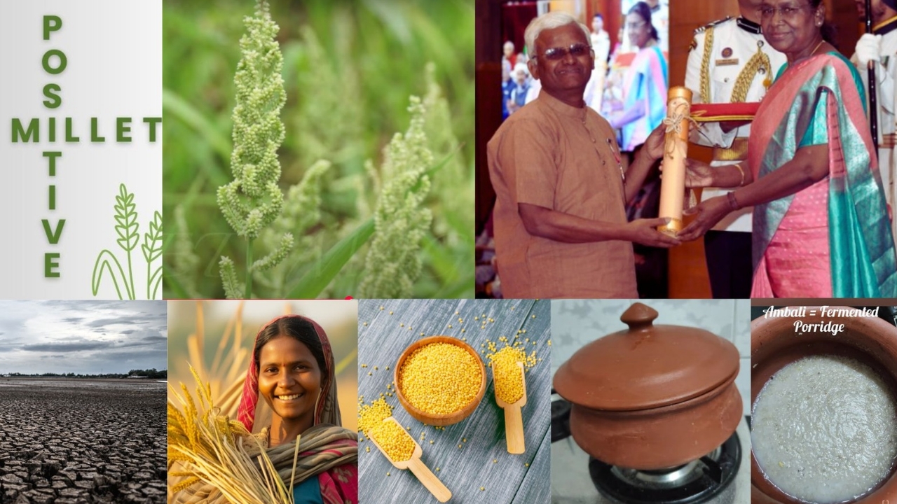 3 Powerful Ways the Millet Man of India is Healing the Nation