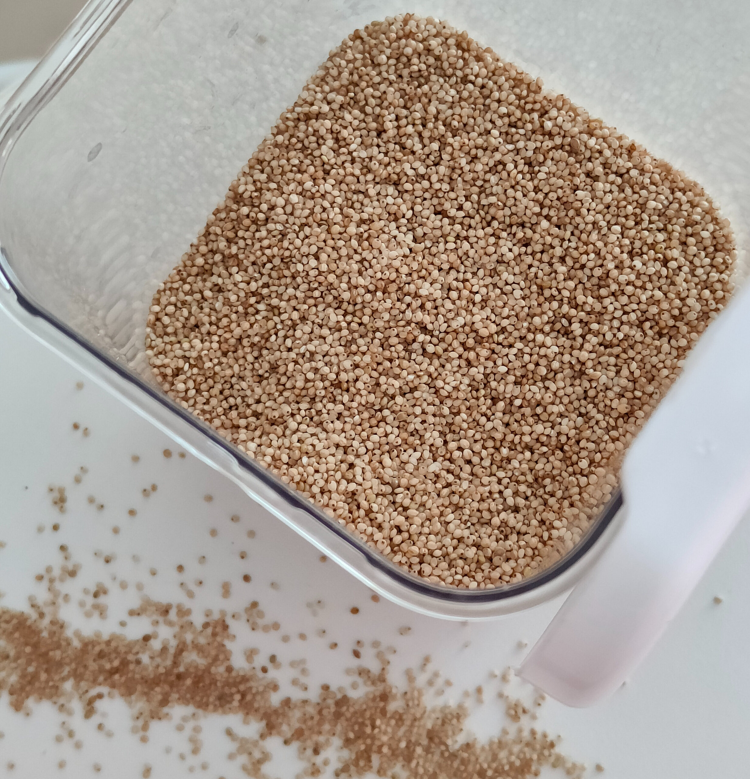 Little Millet: 10 Health Benefits & Ambali Recipe for Healing