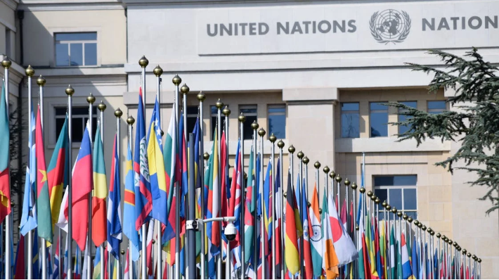 Quinoa vs Millet - United Nations Declaration 