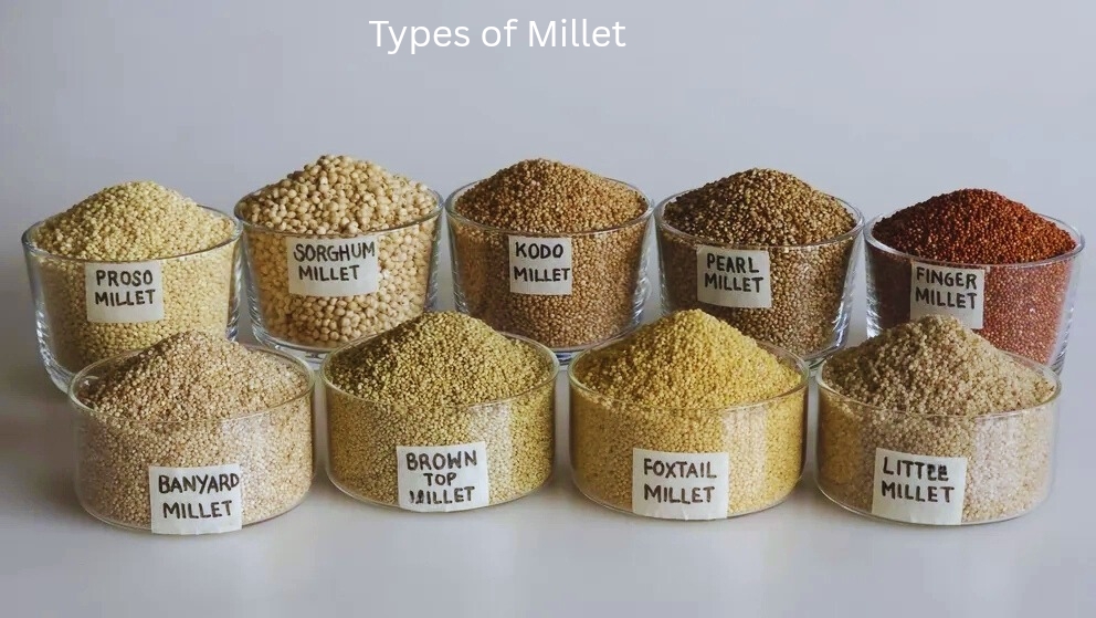 Types of Millet