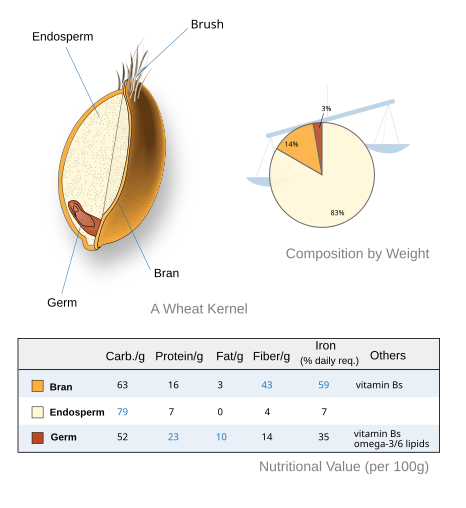 Whole Grains - 3 Layers of a Grain
